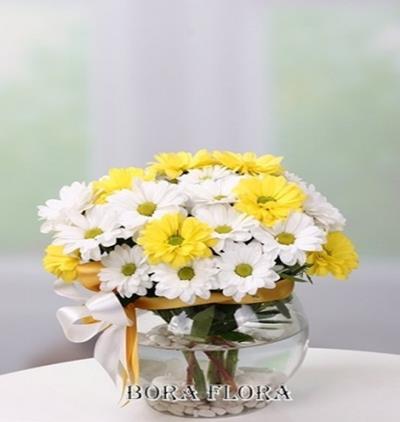 butik buket 64 Çiçeği & Ürünü Fanusta Sarı&Beyaz Papatyalar 