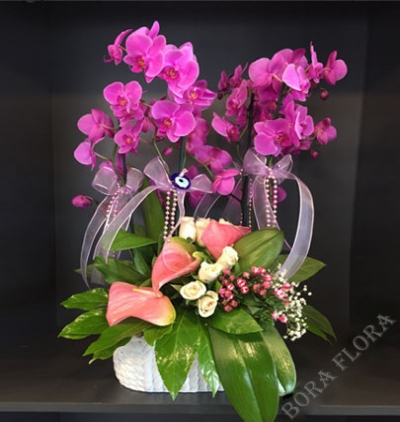 Özel kutusunda renk cümbüşü gül ve lilyum bahçesi Çiçeği & Ürünü 4 dal Mor Orkide Tanzim 