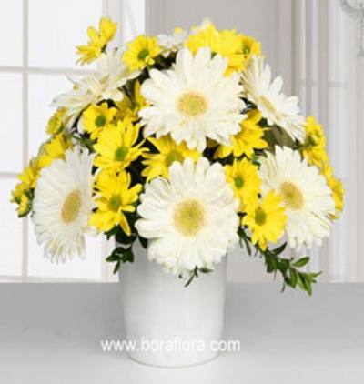 kişiye Özel vazolu renkli papatya aranjmanı Çiçeği & Ürünü sarı papatya ve beyaz gerbera aranjmanı 