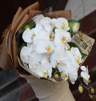 kişiye Özel fotoğraflı ficus gingsey bonsai Çiçeği & Ürünü Beyaz Orkide Buketi 