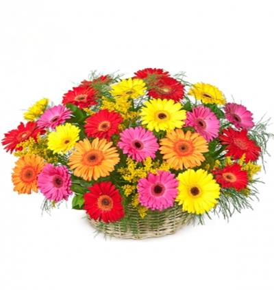 renklerin melodisi Çiçek aranjmanı Çiçeği & Ürünü Renkli Gerbera Aranjmanı 