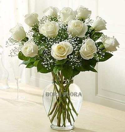 bora flora Vazoda iri  Beyaz Güller 