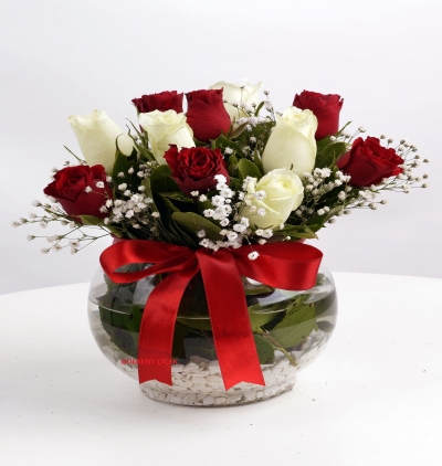 Özel renkler gül buketi Çiçeği & Ürünü Fanusta Kırmızı,Beyaz Güller 