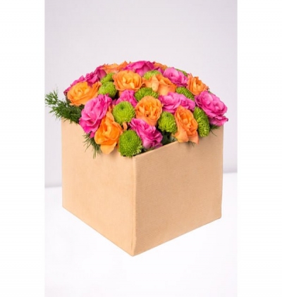 Kare kutu içerisinde çardak gülleri ve biçme