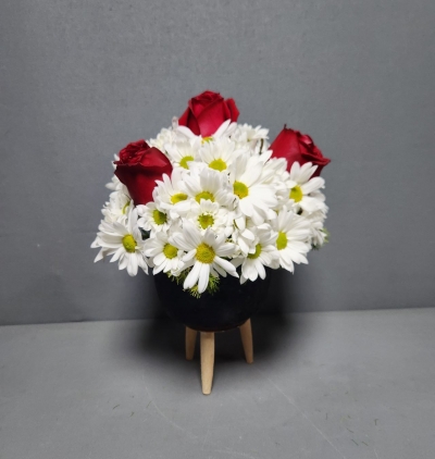  Marmaris Çiçek Siparişi Dekoratif  Saksıda Gül  ve Papatya