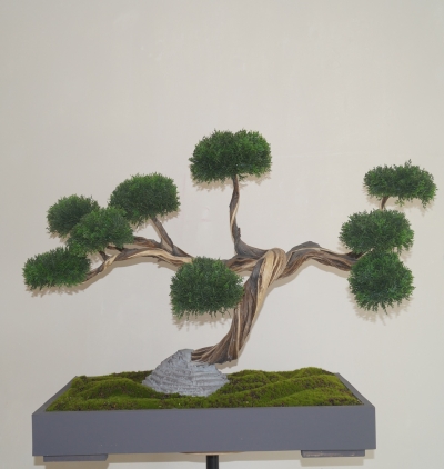 Bonsai Ağacı Yapay Dekor Resim 1