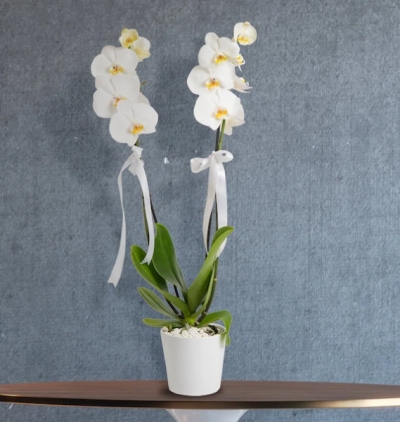2 Dal Beyaz Orkide Çiçeği Seramikli Resim 1