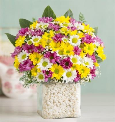 beyaz gül gelin buketi Çiçeği & Ürünü Sevgi Deryası Papatya Aranjmanı 