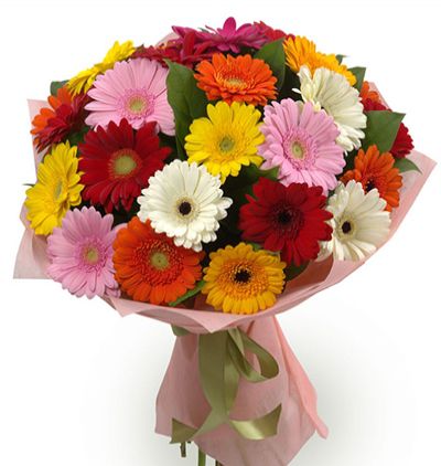 vazoda 11 kırmızı gül  Çiçeği & Ürünü Renkli Gerberalar 