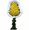  Marmaris Çiçek Siparişi Tek Katlı Sarı Cinya Çelengi