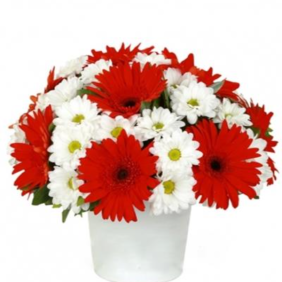  Marmaris Çiçekçiler Gerbera ve Papatya Aranjmanı