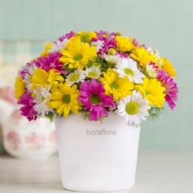  Marmaris Çiçek Gönder Rengarenk Papatya Aranjmanı