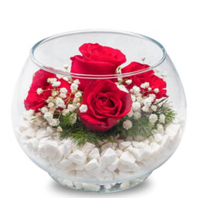  Marmaris Çiçek Siparişi Akvaryum Vazoda 5 Kırmızı Güller