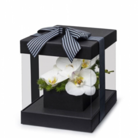  Marmaris Çiçekçiler Kutuda Beyaz Orkide