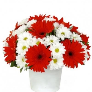  Marmaris Çiçekçiler - Gerbera ve Papatya Aranjmanı