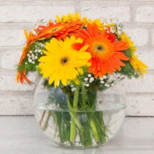  Marmaris Çiçek Gönder - Akvaryum Camda Gerbera Karnavalı